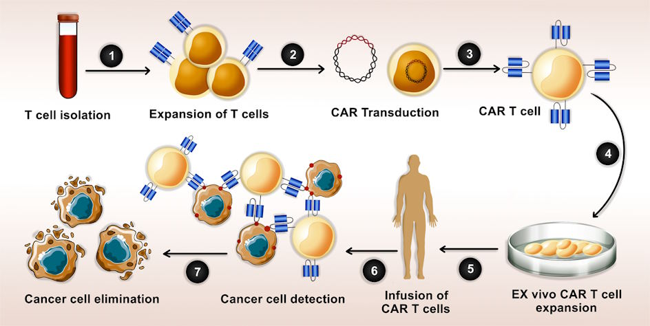 immunotherapy treatments